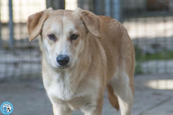 Pimpa, La Timidezza Che Chiede Tempo..